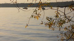 Sunset sand Sea nature Trees water lakes Beaches skies