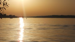 Sunset sand Sea nature Trees water lakes Beaches skies