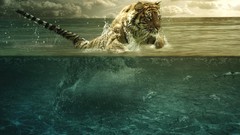 Sunset Sea Animals water clouds fish Tigers Photo manipulation 