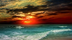 Sunset Sea Beaches skyscapes