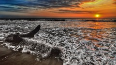 Sunset Sea Beaches waterscapes