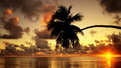 Sunset Sea clouds palm trees silhouettes