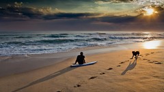 Sunset Sea nature Dogs surfing Beaches waves pets