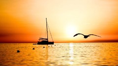 Sunset Sea nature ships seagulls