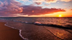 Sunset Sea nature water Beaches skies