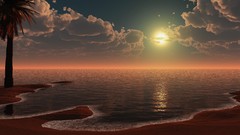 Sunset Sea ocean Beaches