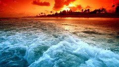 Sunset Sea ocean palm trees Beaches waves