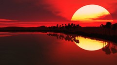 Sunset Sea sun palm trees silhouettes reflections digital art