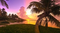 Sunset Sea Trees clouds Florida palm trees