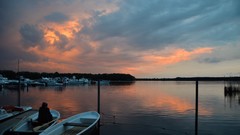 Sunset Sea Trees water clouds Plants Boats germany