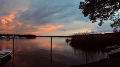 Sunset Sea Trees water clouds Plants germany panorama skies 