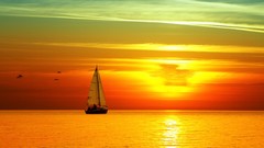 Sunset Sea water sun ocean Birds ships sailing