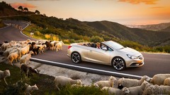Sunset sheep opel cascada