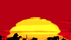 Sunset silhouettes Africa The