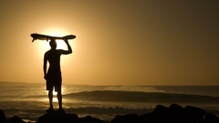 Sunset silhouettes surfing Sea