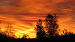 Sunset sky orange burning