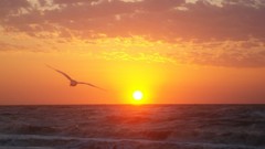 Sunset skyscapes Sea