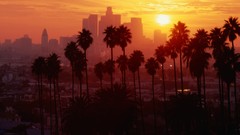 Sunset Skyscrapers panorama California palm trees Los Angeles 