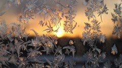 Sunset snow