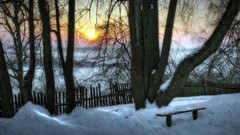 Sunset snow bench forests