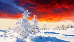 Sunset snow winter