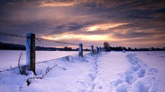 Sunset snow winter barbed wire