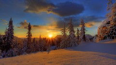 Sunset snow winter skies forests HDR Photography