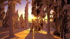 Sunset snowy 1280 960