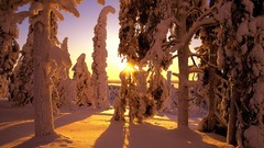 Sunset snowy throw 1680 1050