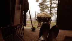 Sunset stones nature Trees grass Horses stable boots