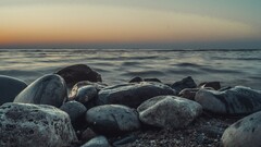 sunset stones Seals water beach sky horizon Sea wet outdoors