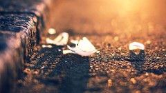 Sunset street rocks bulb sunlight cities