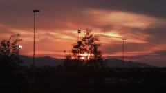 Sunset sun clouds grace skies