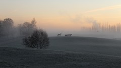 Sunset sun clouds light Frozen skies