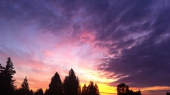 Sunset sun clouds light purple skies