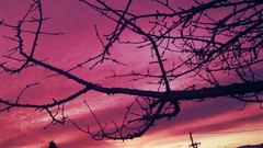 Sunset sun clouds light silence skies