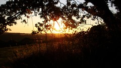 Sunset sun clouds light skies