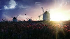 Sunset sun clouds moon Birds windmills Mills Dreaming afternoon