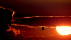 Sunset sun clouds silhouettes clothespin skies depth of field 