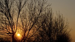 Sunset sun clouds skies