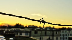 Sunset sun morning germany barbed wire Berlin