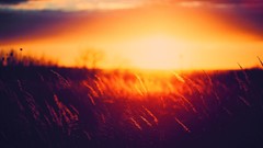 Sunset sun red orange bokeh fields