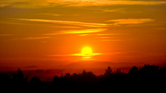 Sunset sun Trees skylines