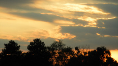 Sunset sunrise nature