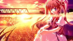 Sunset thigh highs sunlight