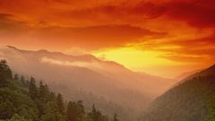 Sunset tree sun mountain