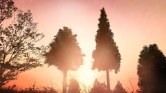 Sunset Trees Anime Sample