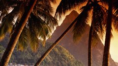 Sunset Trees beach ocean Island Holidays Palms