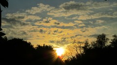 Sunset Trees clouds