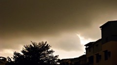 Sunset Trees clouds air houses